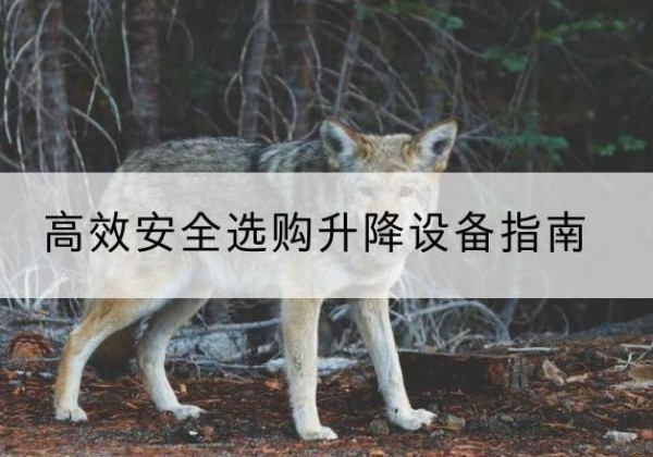 南关升降货梯厂家推荐-*安全选购升降设备指南