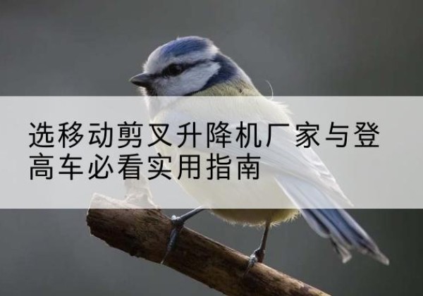 南关电动升降机厂家-选移动剪叉升降机厂家与登高车必看实用指南