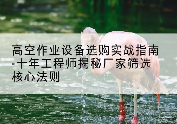 南关剪叉式升降机厂家-高空作业设备选购实战指南-十年工程师揭秘厂家筛选核心法则